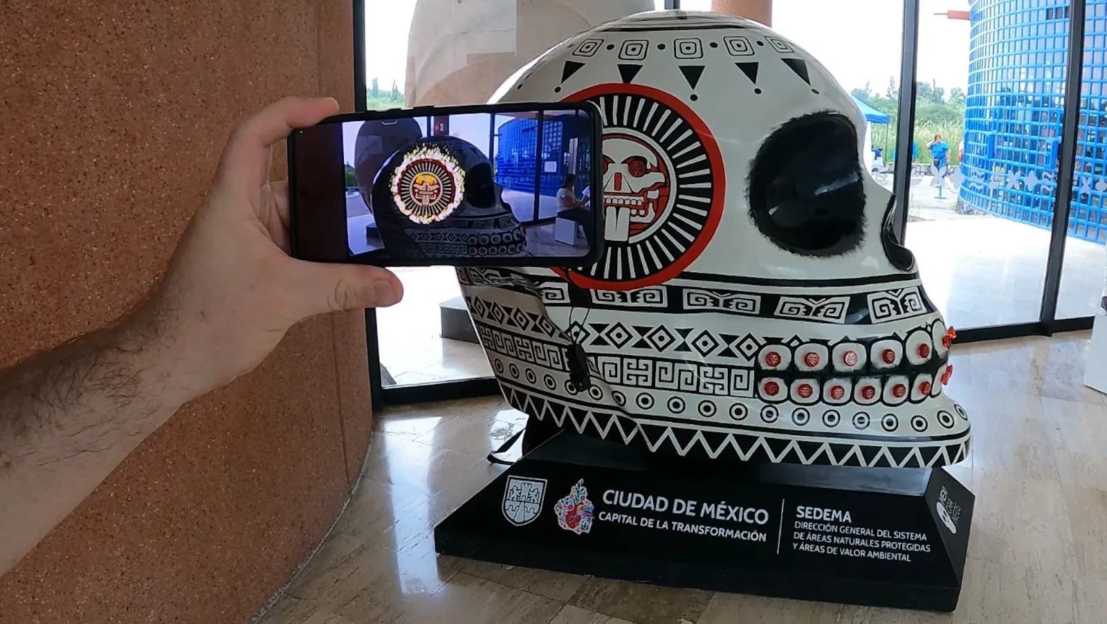 Celular mostrando la animación de realidad aumentada junto al cráneo monumental